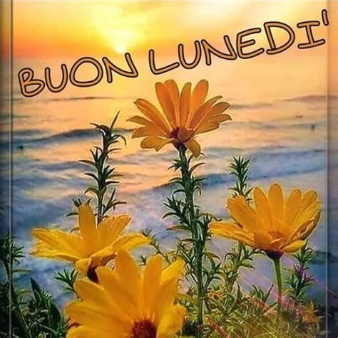 buongiorno e buon lunedì|buon lunedi gif.